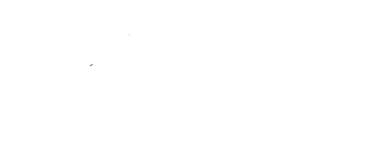 Tour Experto